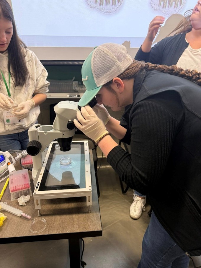 A girl looking through a microscope with gloves on and a hat.